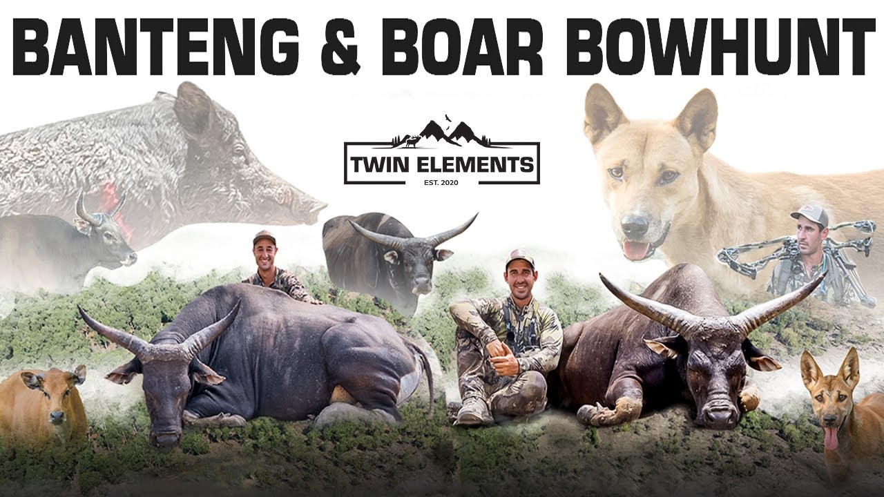 &ldquo;BOWHUNTING HUGE BOARS & BANTENG BULLS (5 Days) In Remote Wilderness NT Australia! - TWIN ELEMENTS