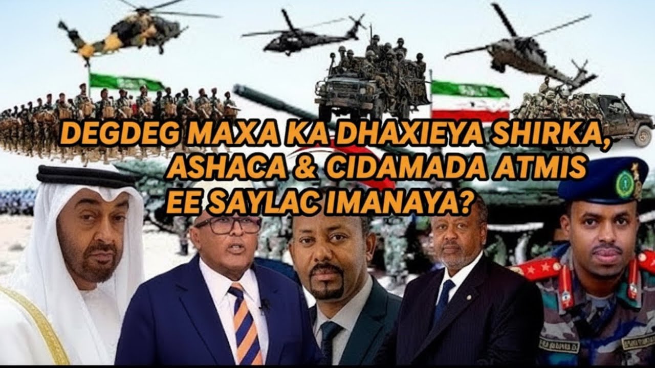 DEGDEG MAXAA KA DHAXEEYA SHIRKA AYSHACA & CIIDAMADA ATMIS EE SAYLAC IMANAYA + CIRRO OO LOO HANJABAY?