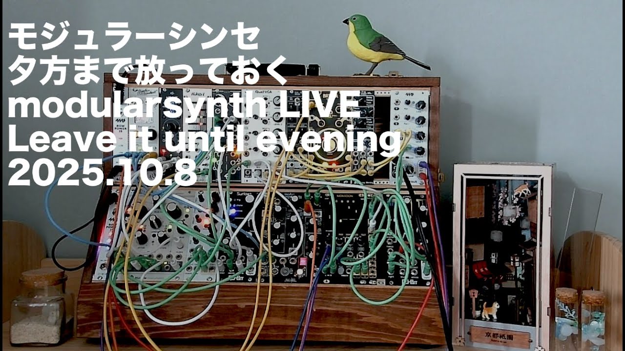 【モジュラーシンセ】夕方まで放っておくライブ Leave it until evening- modular synth live 2025.10.8