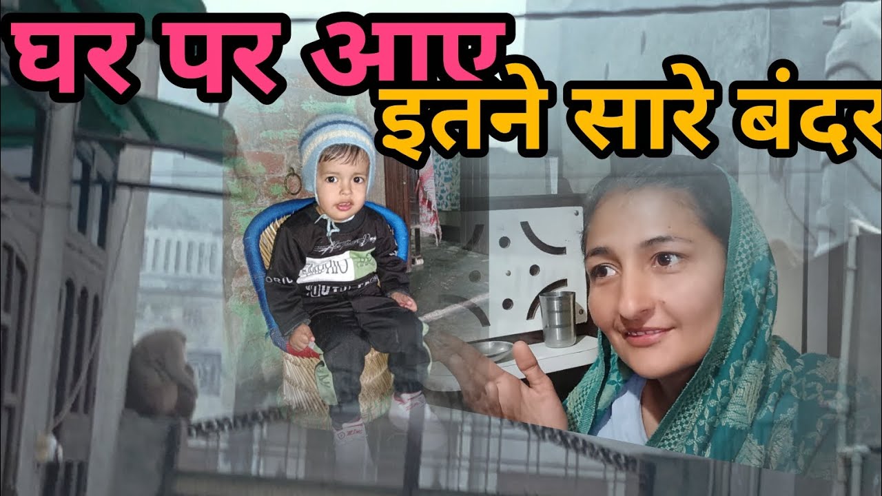 आज इतने बंदर कहां से आ गए