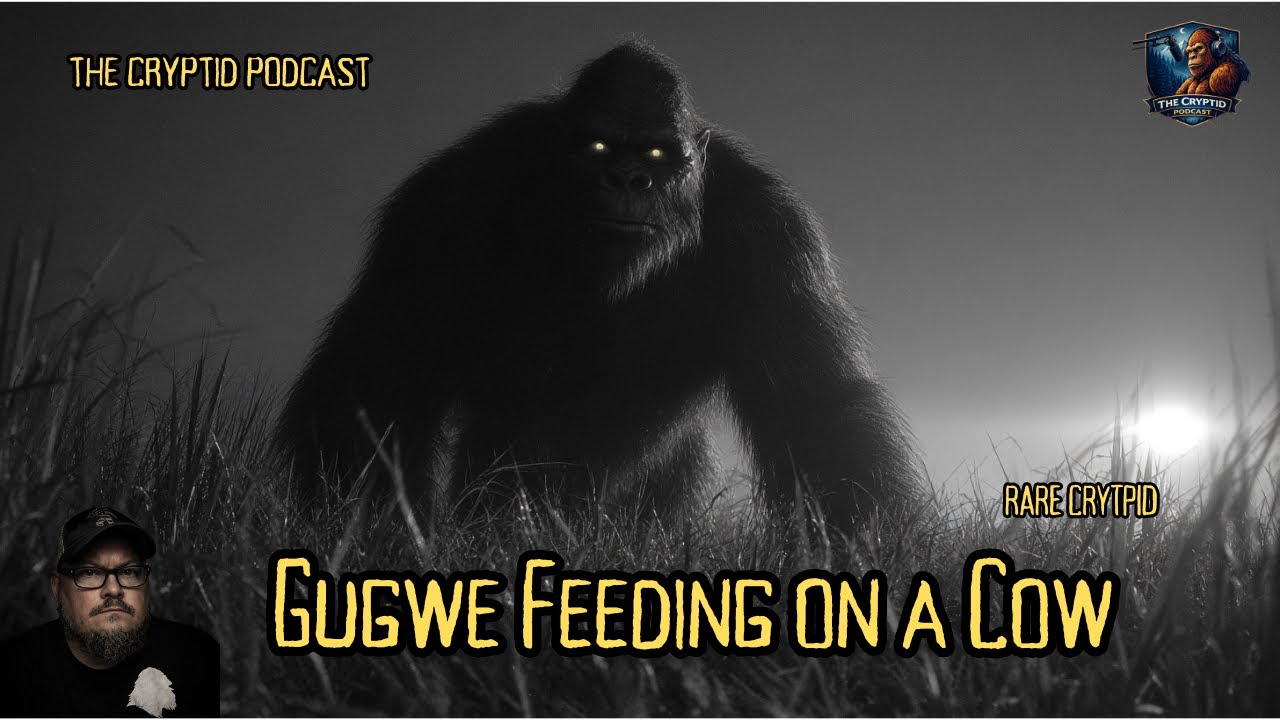 Gugwe Feeding on a Cow -  Ep.140  - January 9, 2026