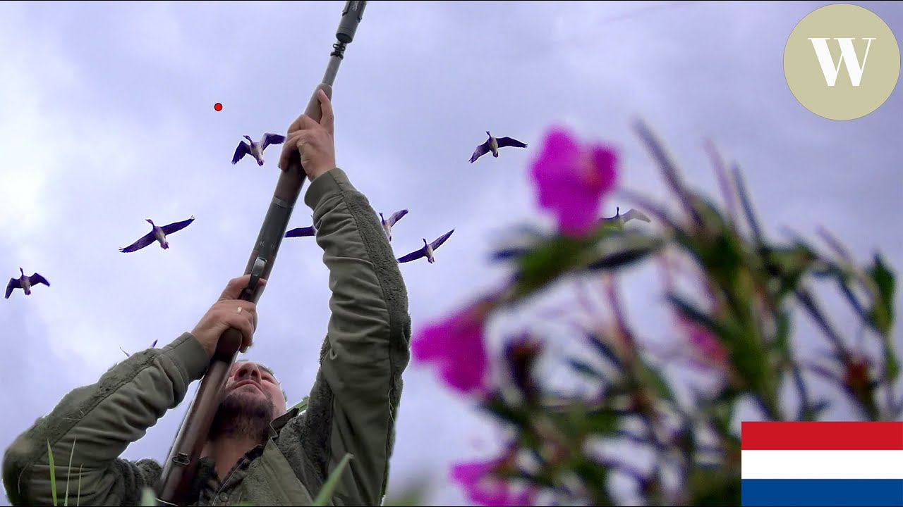 Jagd auf Gänse, Enten und Krähen | Niederlande 2025 | WaldGeist