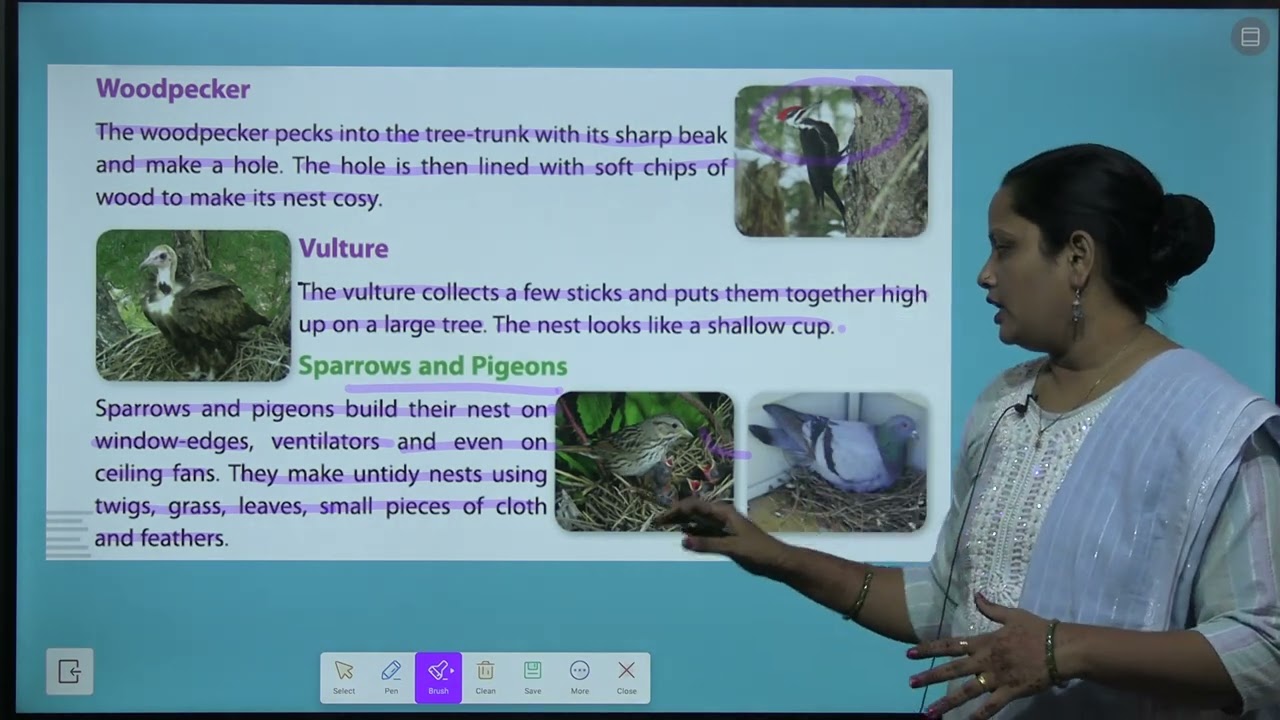 CHAPTER 5 NESTING HABITS OF BIRDS | SCIENCE CLASS 3