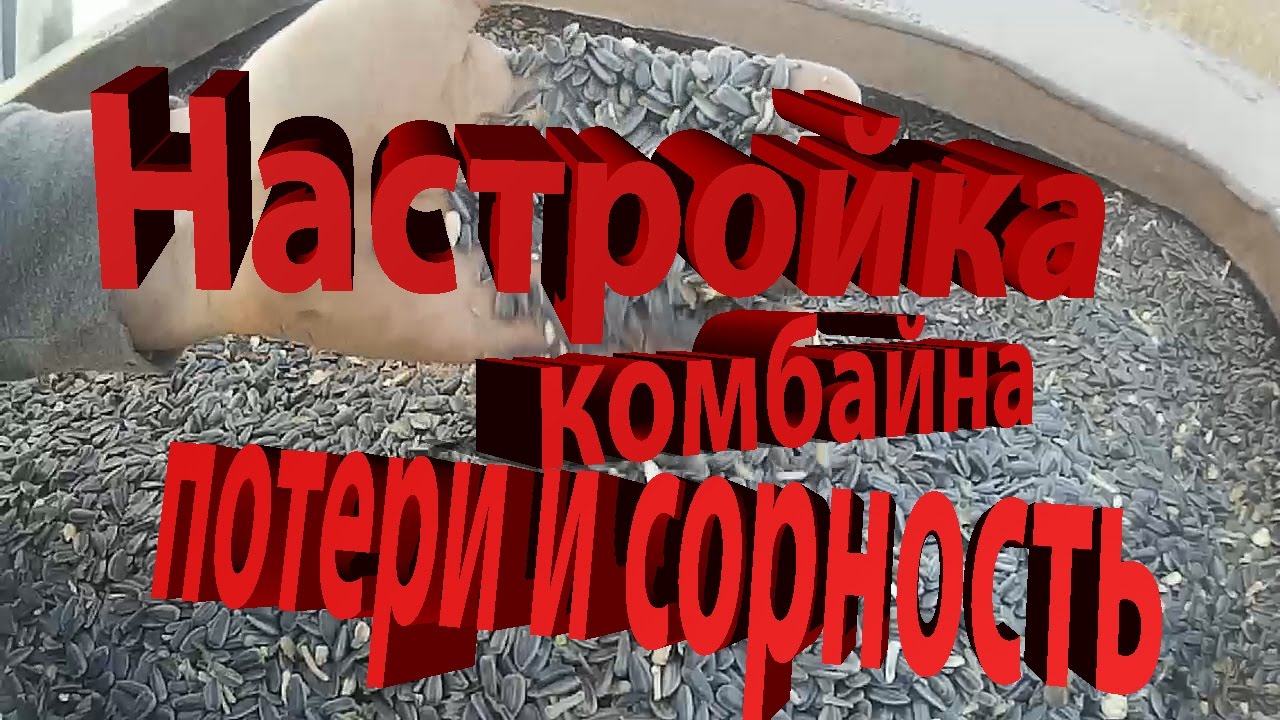 Настройка комбайна, контроль потерь и чистоты зерна подсолнечника в бункере