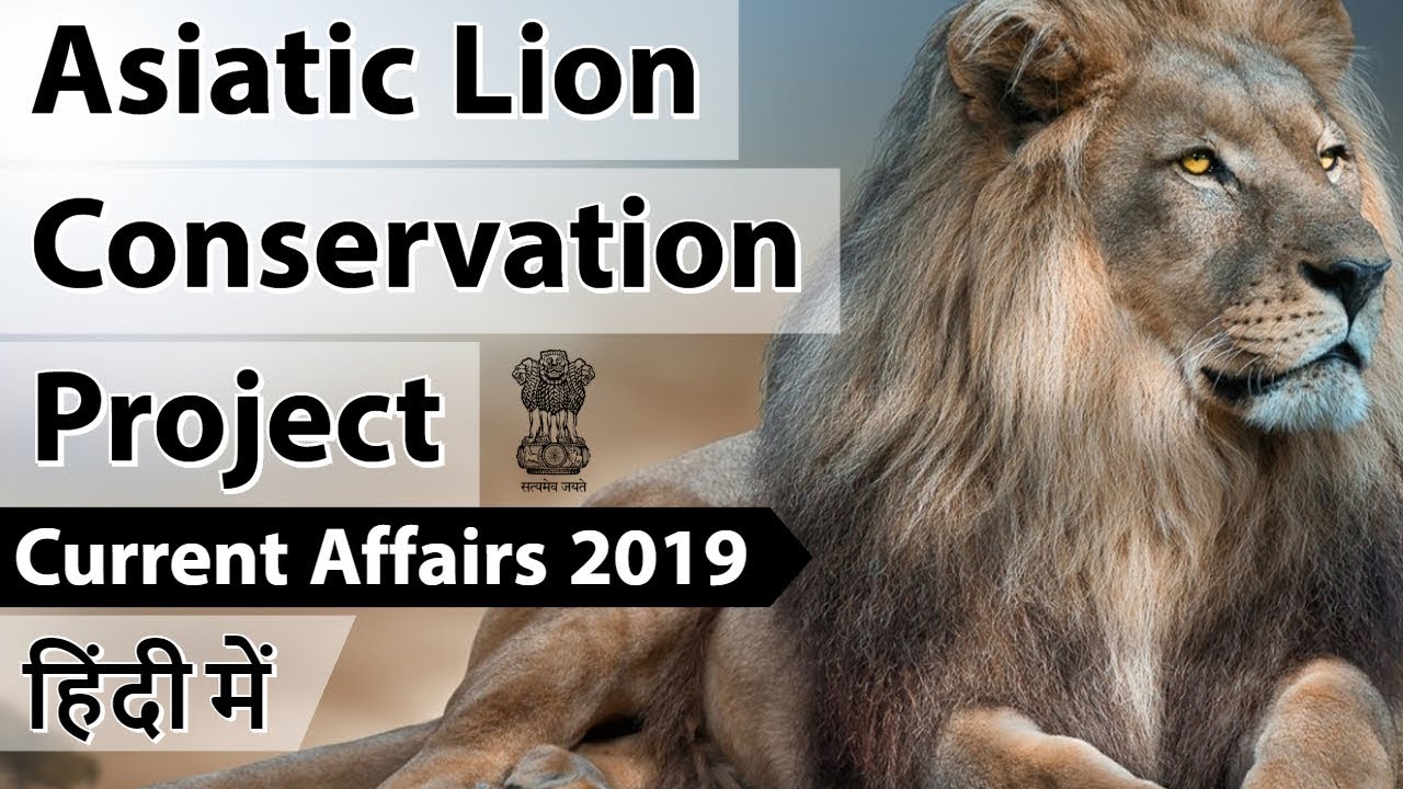 Asiatic Lion Conservation Project एशियाई शेरों पर संकट Current Affairs 2019