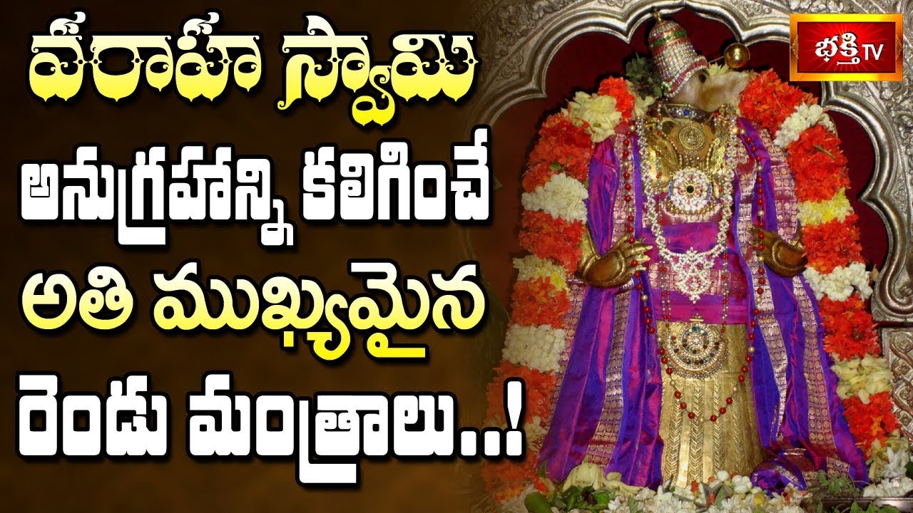వరాహ స్వామి అనుగ్రహాన్ని కలిగించే అతి ముఖ్యమైన రెండు మంత్రాలు..! || Samavedam Shanmukha Sarma