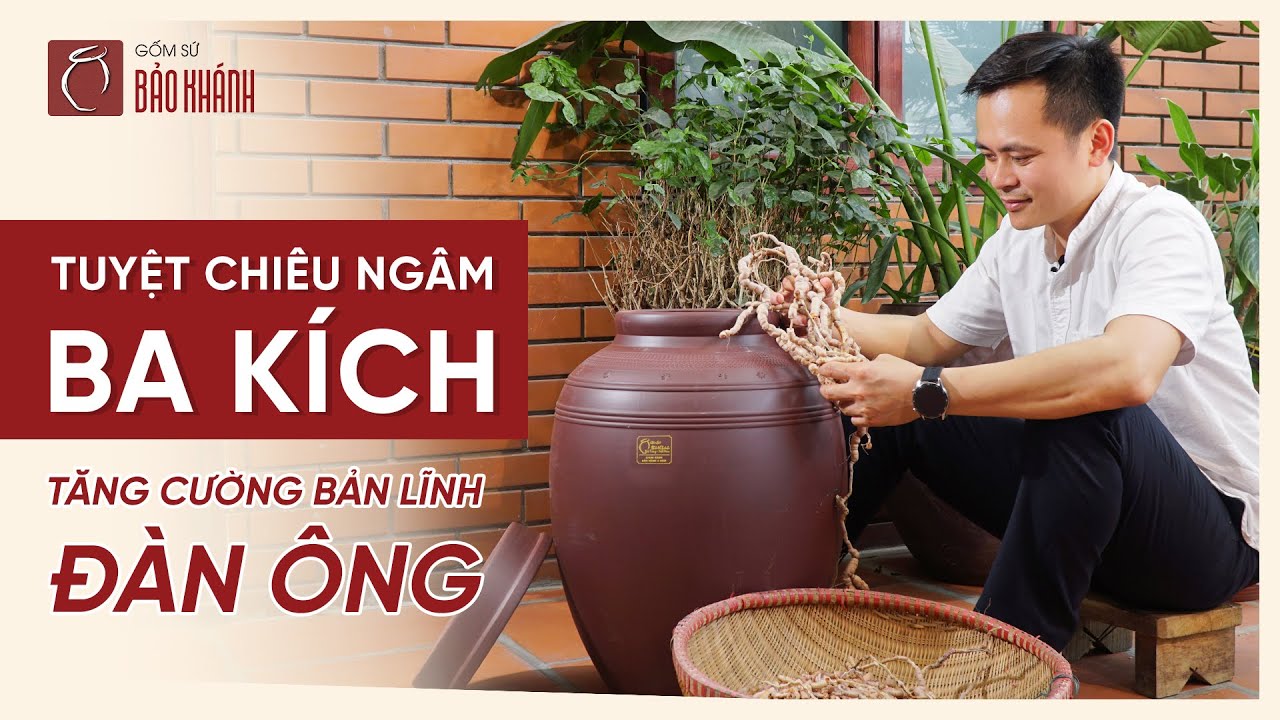 Cách Ngâm Rượu Ba Kích Cực Chuẩn - Sử Dụng Rượu Như Nào Để Tránh 