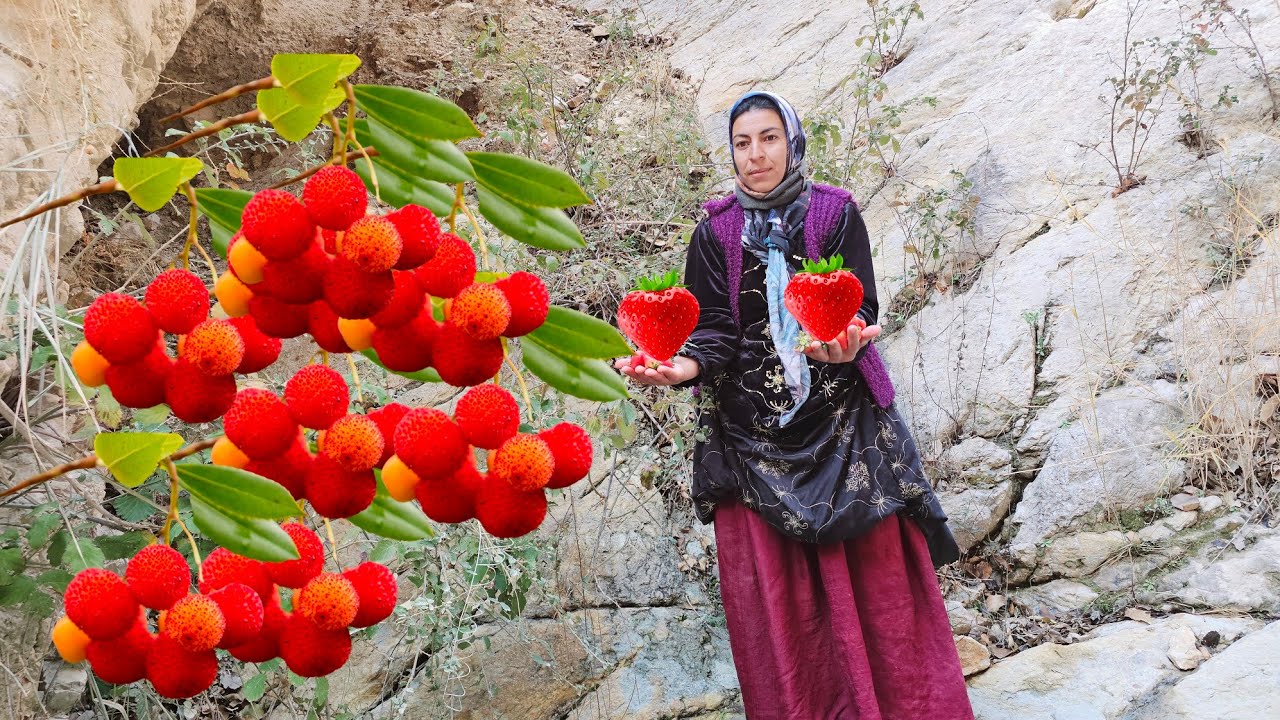Khadija's journey through dangerous high mountains and finding strawberries