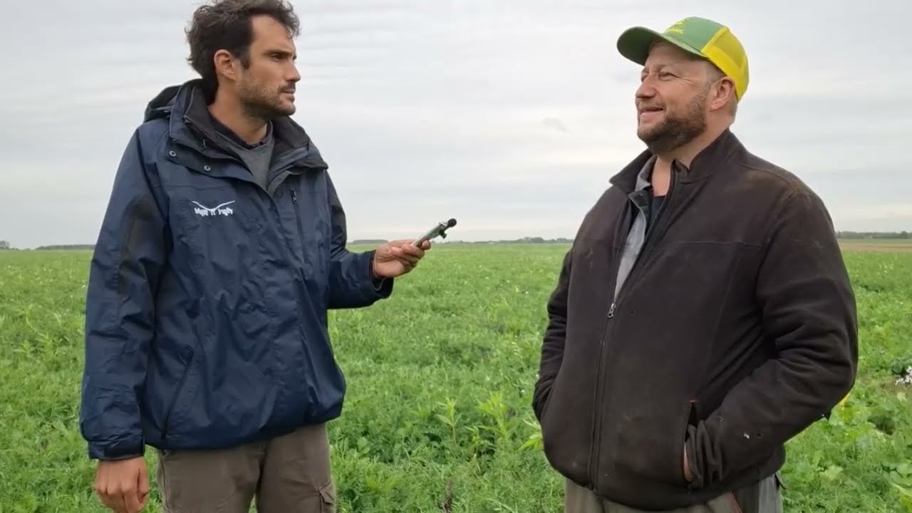 Résultats de semis au drone sur 3 années