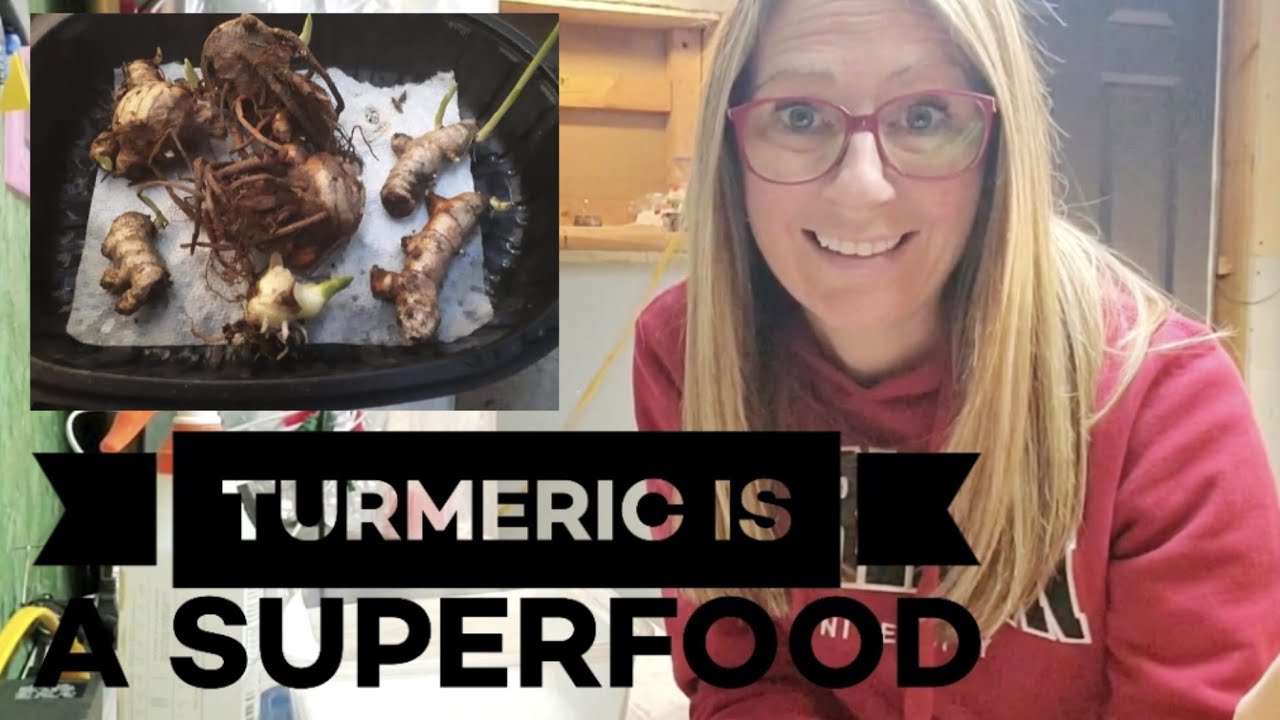 How to Start Growing Turmeric Indoors in Containers