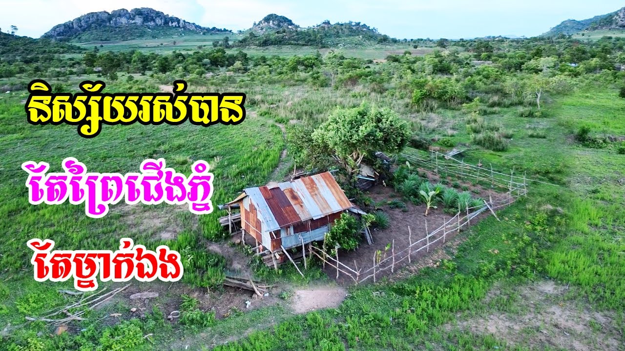 ពូមាននិស្ស័យរស់បានតែនៅព្រៃជើងភ្នំតែម្នាក់ឯងឃើញហើយស្អាតណាស់បរិយាកាសល្អបរិសុទ្ធសម្រស់ទេសភាពស្អាតលេខ១