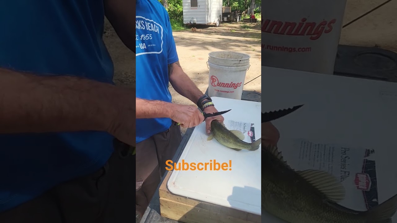 Cleaning fillet Large Mouth bass in 7 seconds #fishing #bassfishing #bassangler