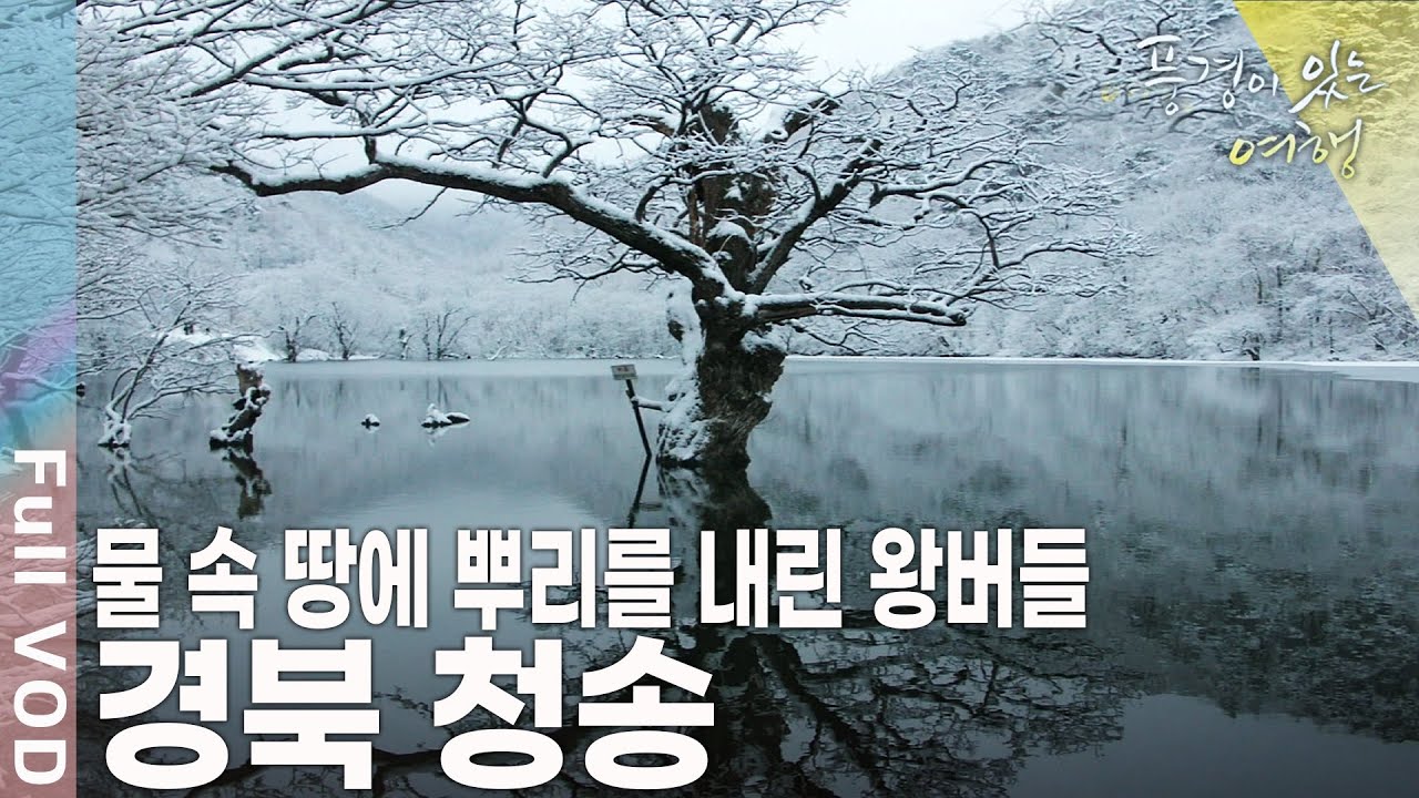 영화 '봄여름가을겨울 그리고 봄'의 촬영지 '주산지'와 태백산맥 끝자락에 있는 '주왕산' 경북 청송 [풍경이 있는 여행 KBS 20100618 방송]