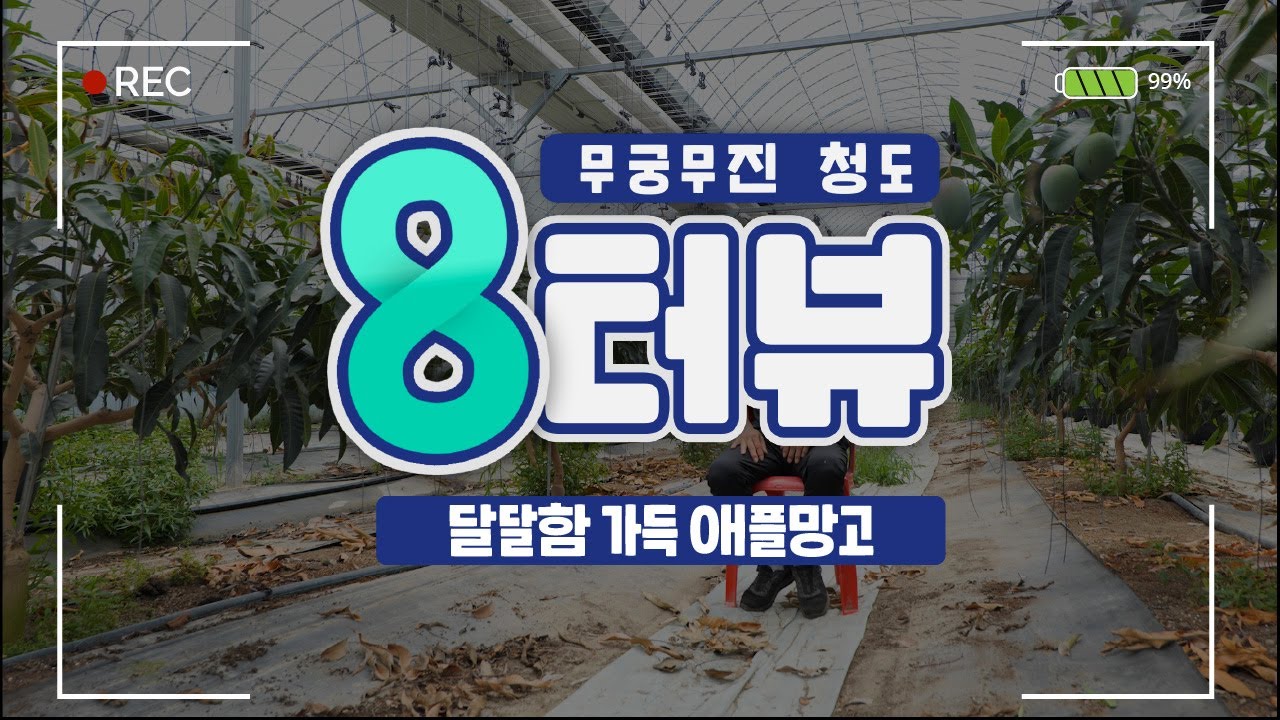 아니 청도에서 이것🥭까지 나온다고⁉️ 달달함 한도초과 청도 귀촌생활🔅ㅣ청도 8터뷰