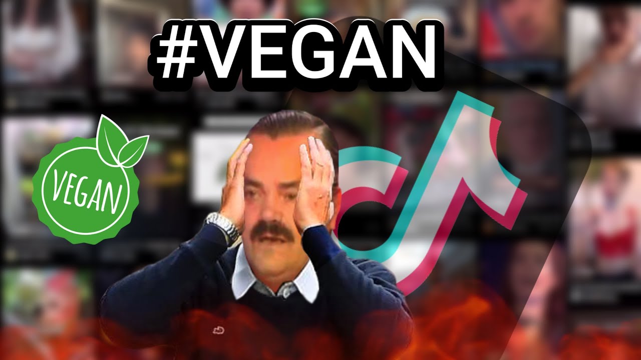 Fouillons le #V&eacute;gan sur Tiktok... (WTF)
