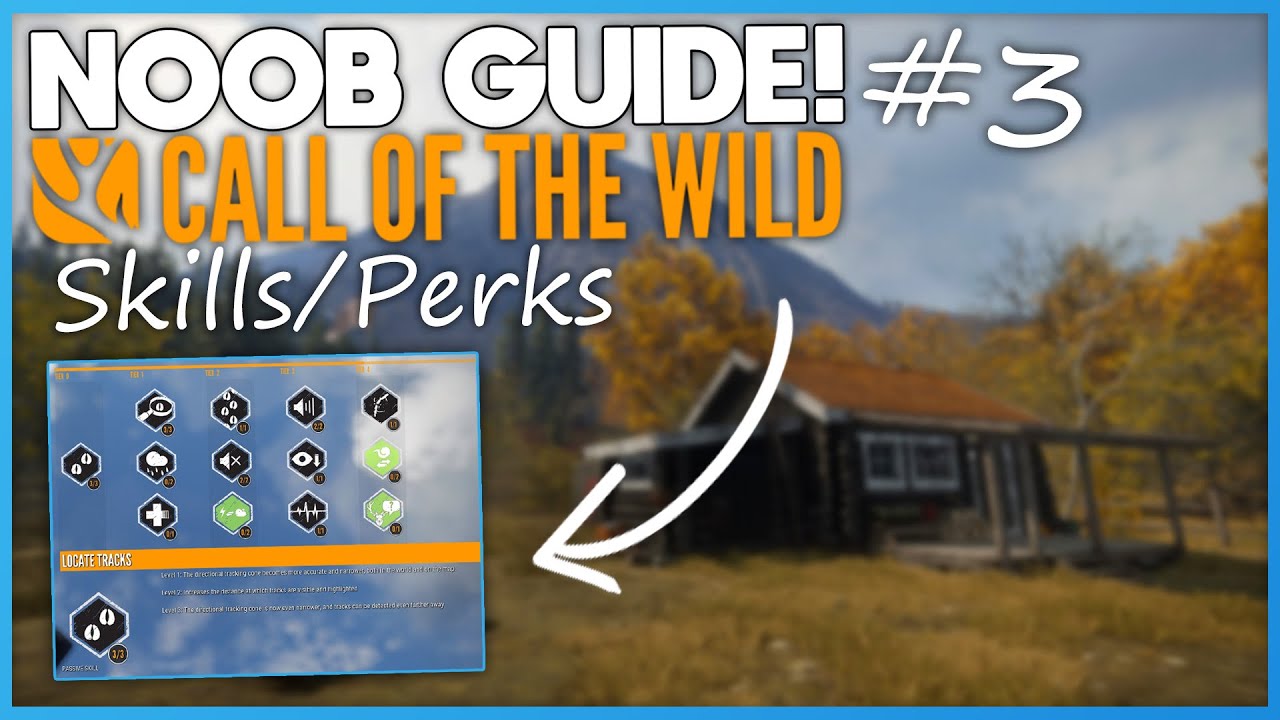 Skills & Perks Setup For Noobs! | theHunter: Call Of The Wild
