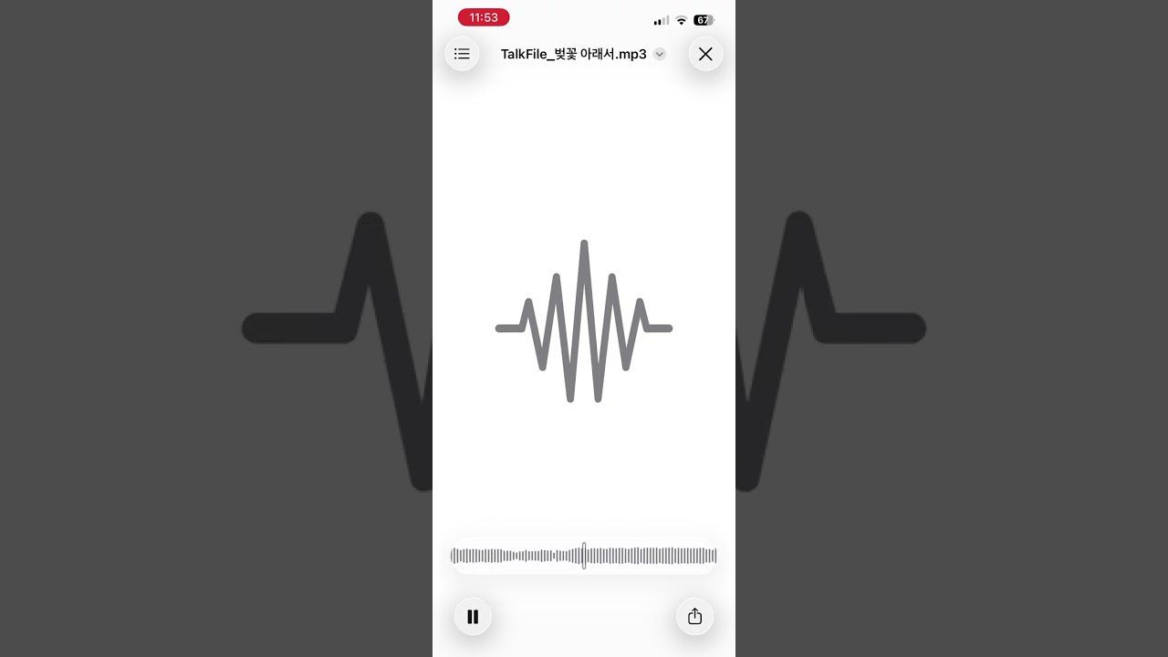 벚꽃 아래서
