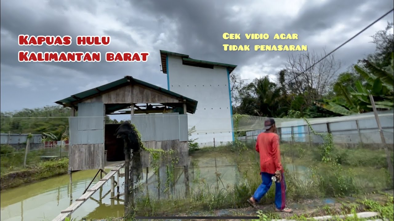 Hasil rehap tepuai kapuas hulu
