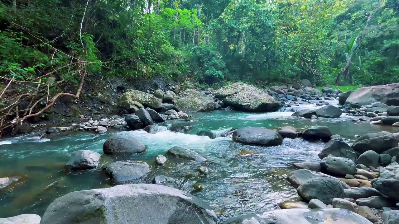 Gentle River Sounds for Sleeping, River Sounds for relaxation, Water Sounds for stress relief