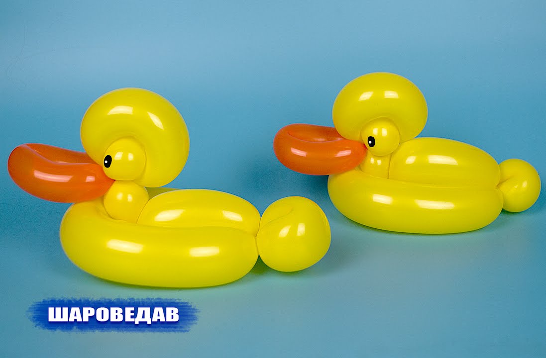 Duck of two balloons