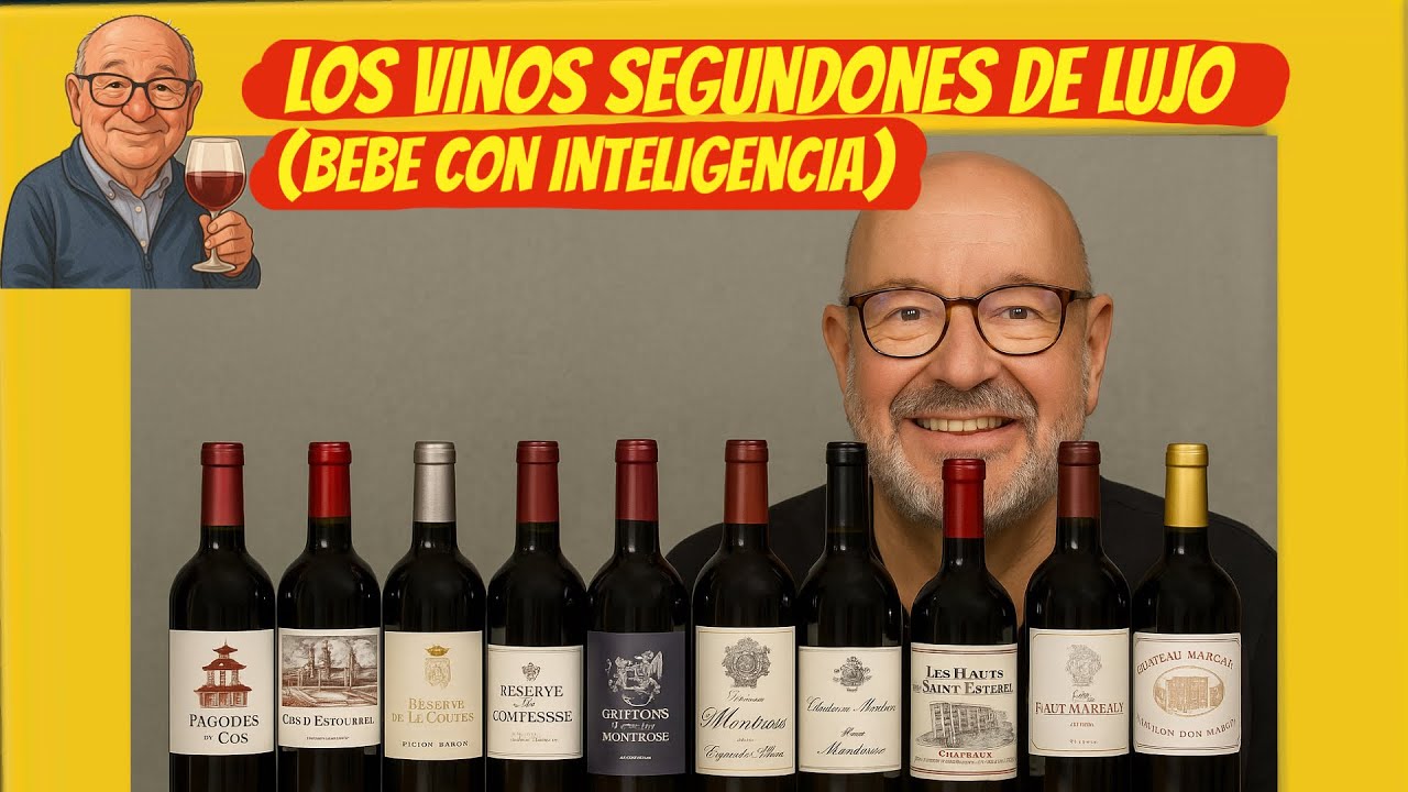 (366)LOS VINOS SEGUNDONES DE LUJO  1 SAINT ESTEPHE (BURDEOS)(Bebe lo mejor, con inteligencia)