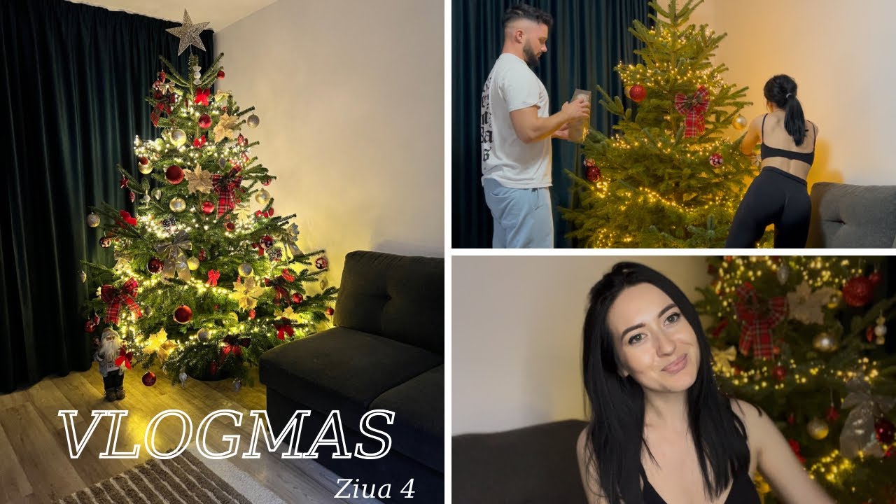 🎄 Am găsit bradul pe care ni-l doream || A venit momentul să abordăm un subiect sensibil...politica