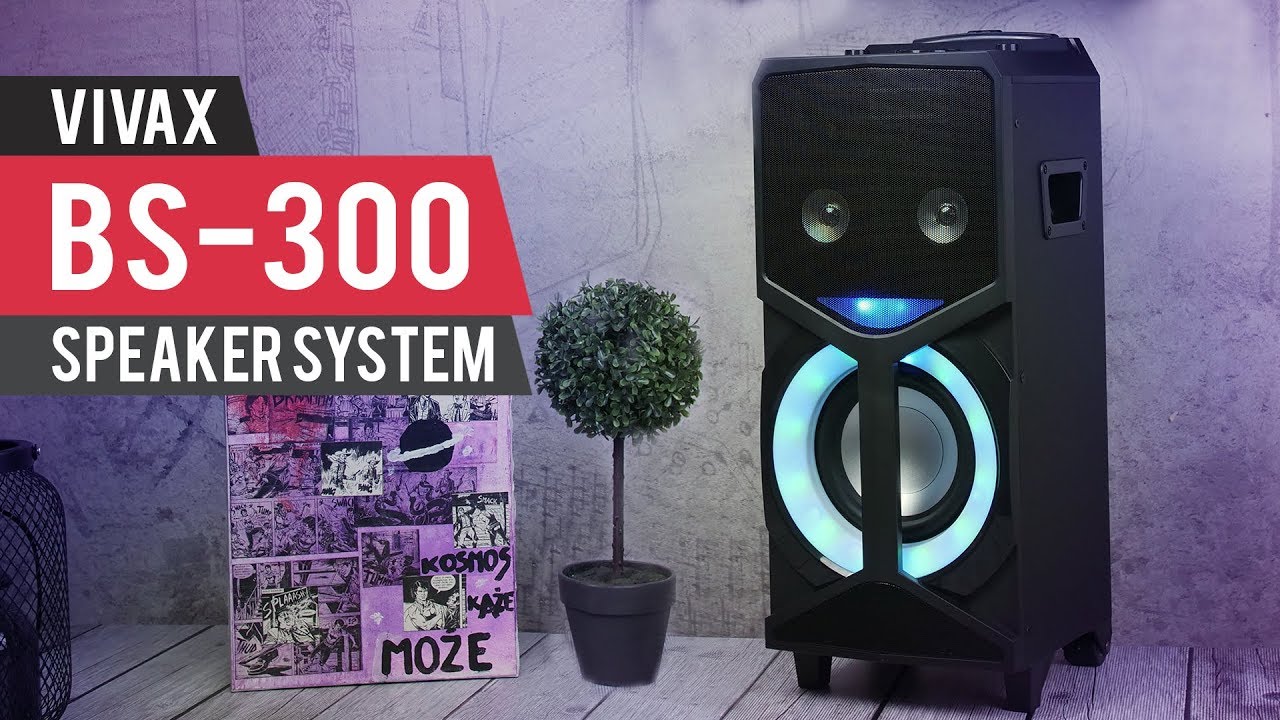 Žurka za poneti: Vivax Speaker System BS 300