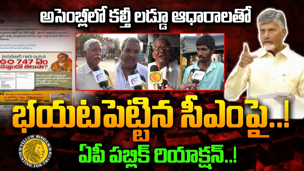 AP Public Reaction on Chandrababu Speech about Tirupati Laddu in Assembly | Yellow Singam