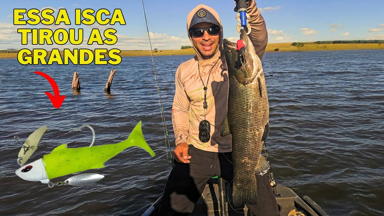 Pescando Traíras GIGANTES no Rio Negro REPRESA DO PALMAR! Trairão tornasol