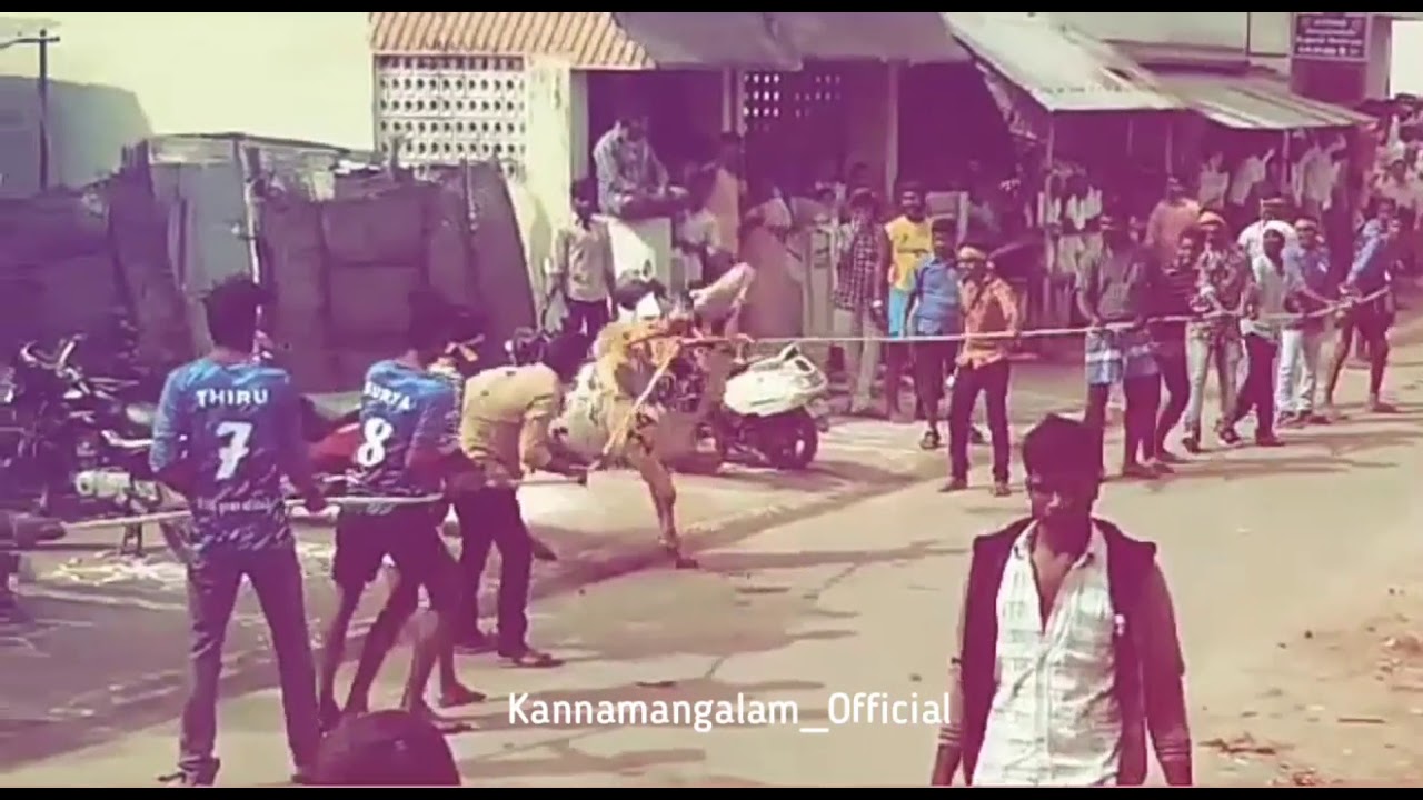 Arasampattu  Manjuviratu | Kannamangalam | Vellore | Tiruvannamalai
