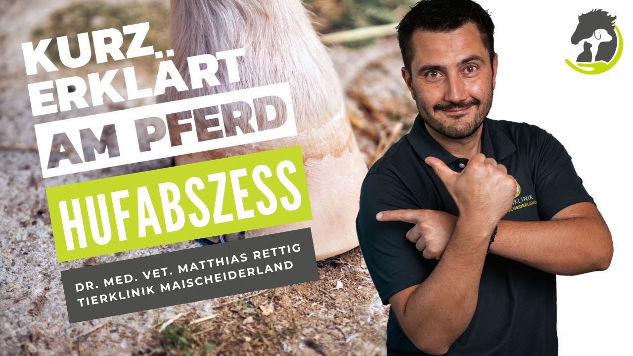 HUFABSZESS - Hochgradige Lahmheit, Diagnose & Behandlung. Kurz erklärt am Pferd
