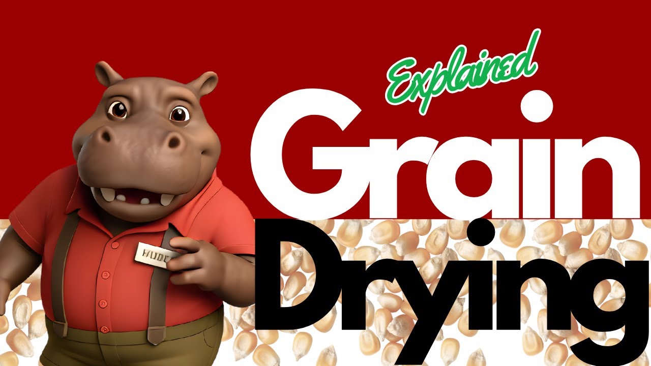 Grain Drying