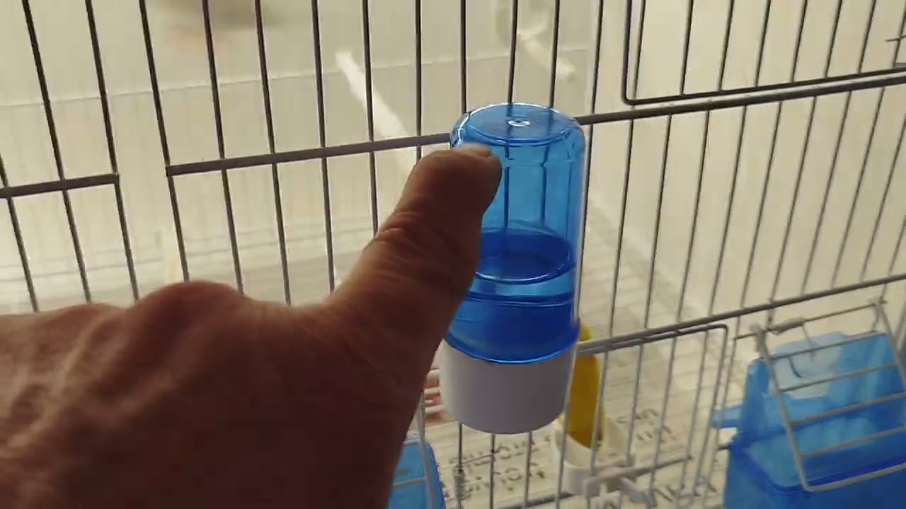Vidéos 02 début de la deuxième semaine de préparation 