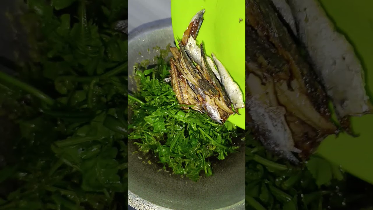 Tumis pakis +ikan rebus mantul banget bikin nambah² nasi apalagi nasi hangat😋😋😋