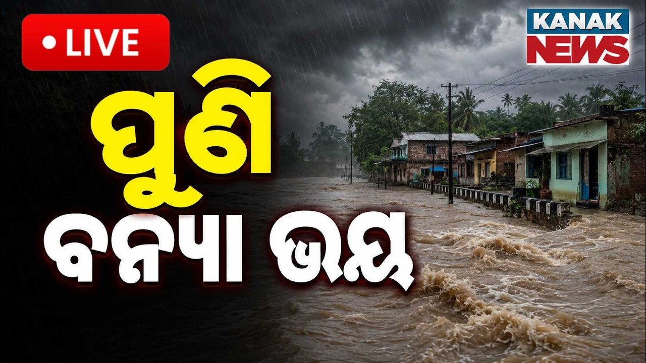 🔴ପୁଣି ବନ୍ୟା ଭୟ | River Water Level Rises: Flood Alert Issued in Odisha