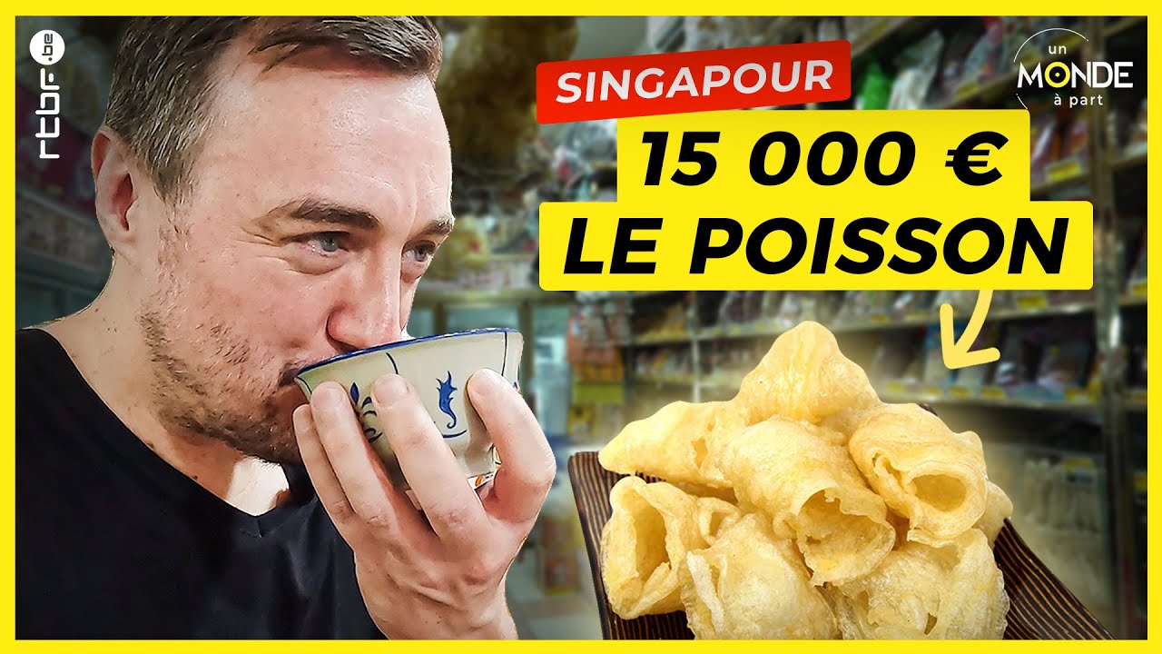 Singapour : visite d'une pharmacie traditionnelle chinoise - Un Monde &agrave; part