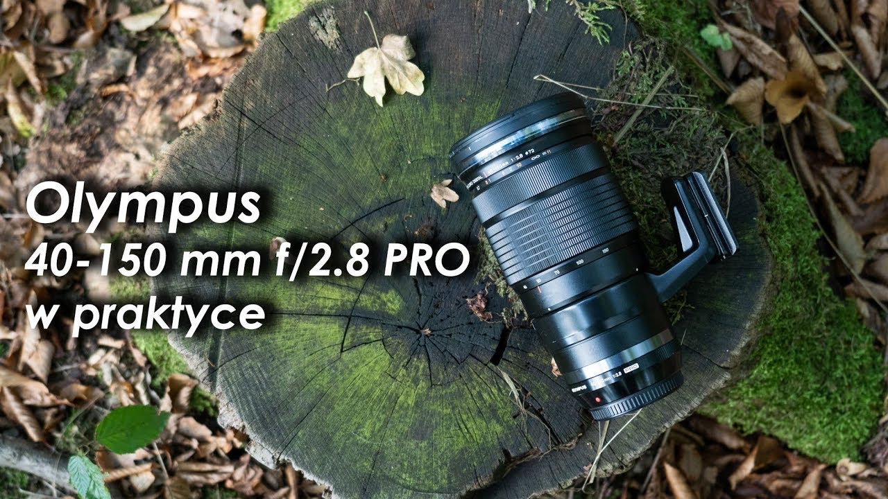 Olympus 40-150 mm f/2.8 PRO - testuję profesjonalny teleobiektyw micro 4/3