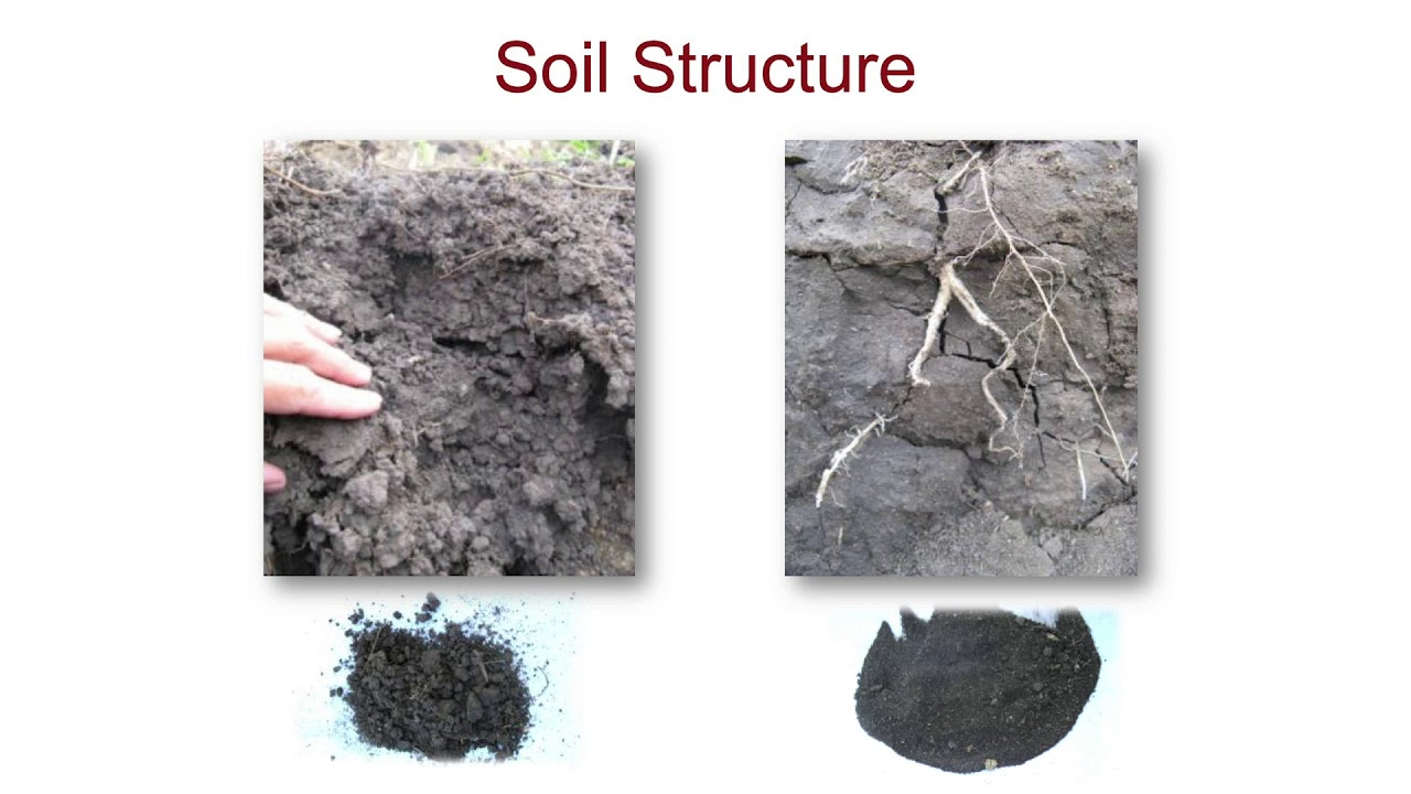 Practices for mitigating soil compaction