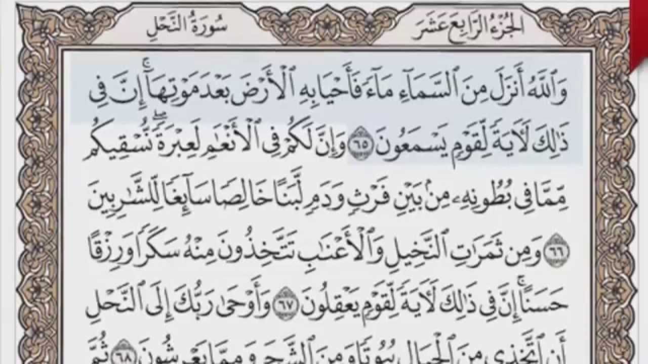 القرآن الكريم بالصفحات صوت وصورة ص/ 274 الشيخ محمود خليل الحصري بمد المنفصل