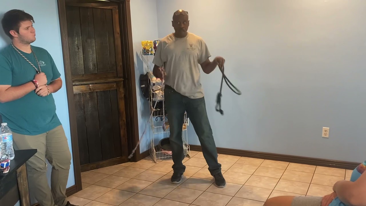 How to be a good kennel tech?