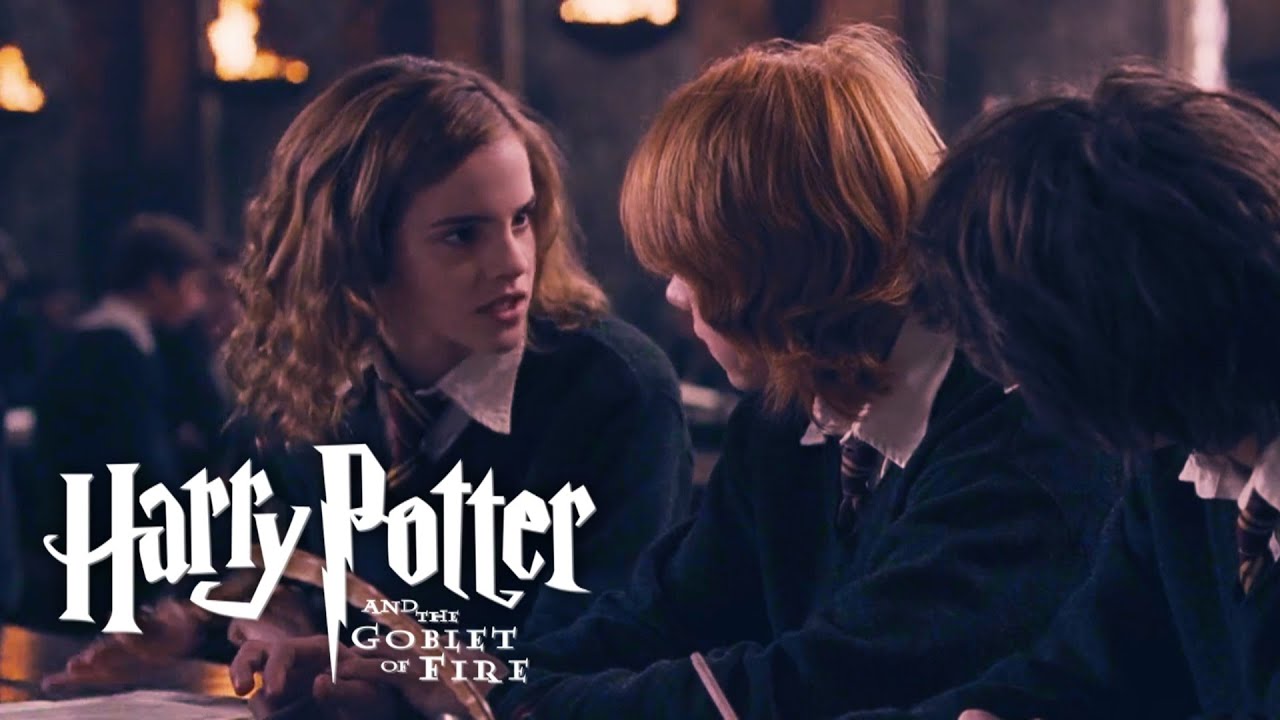 Harry Potter | Hermione, you're a girl | One-line multilanguage