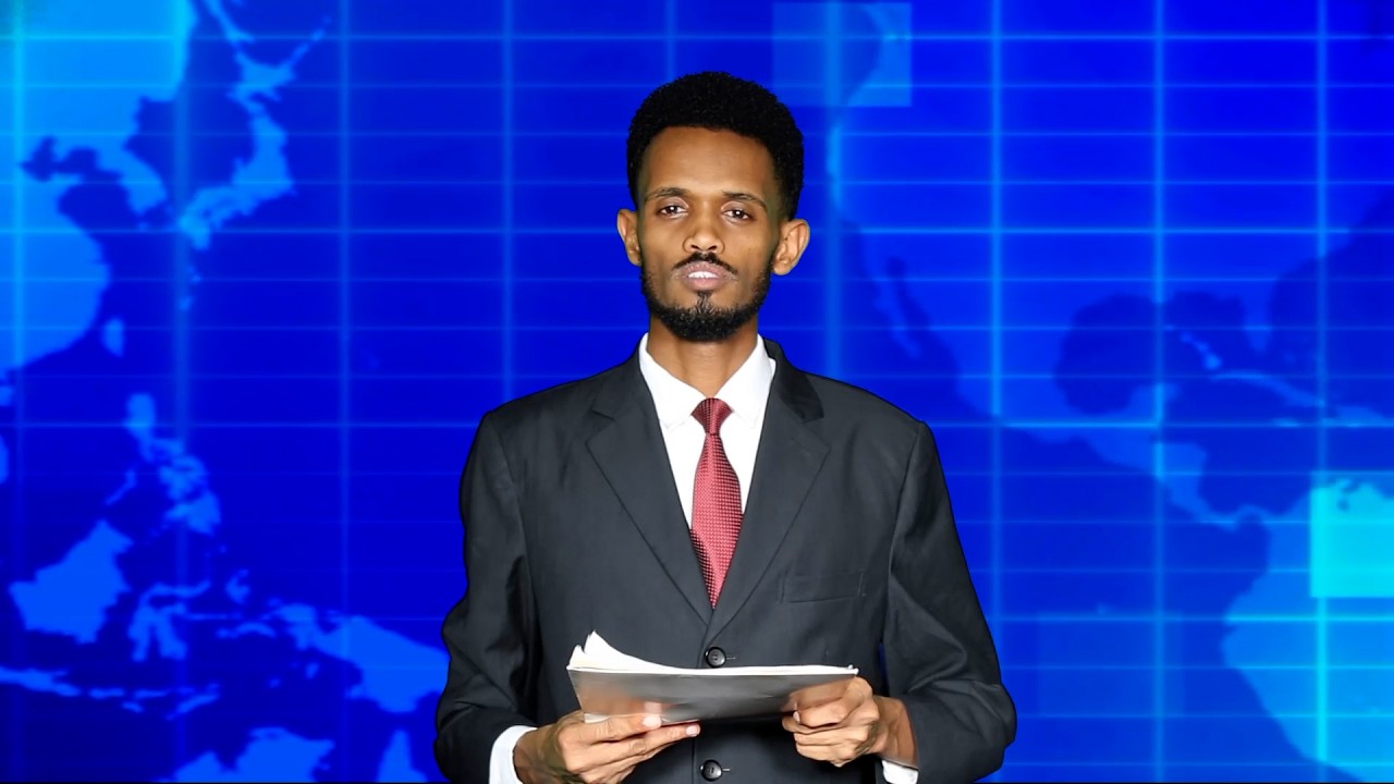 Warka Universal TV 14 04 2026