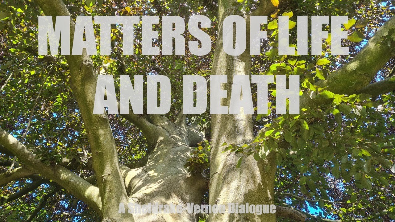 Matters of Life and Death - a conversation with Rupert Sheldrake