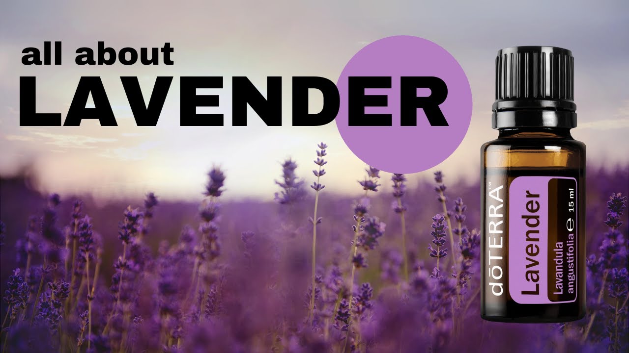 Anwendung dōTERRA Lavender (Lavendel) Öl / there is an oil for that - Angela und Oliver