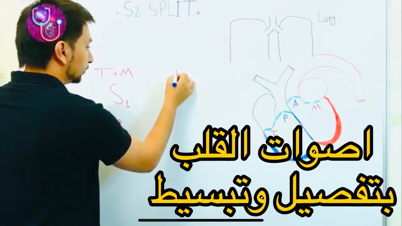 اصوات القلب Heart Sounds الدكتور عبدالله مازن