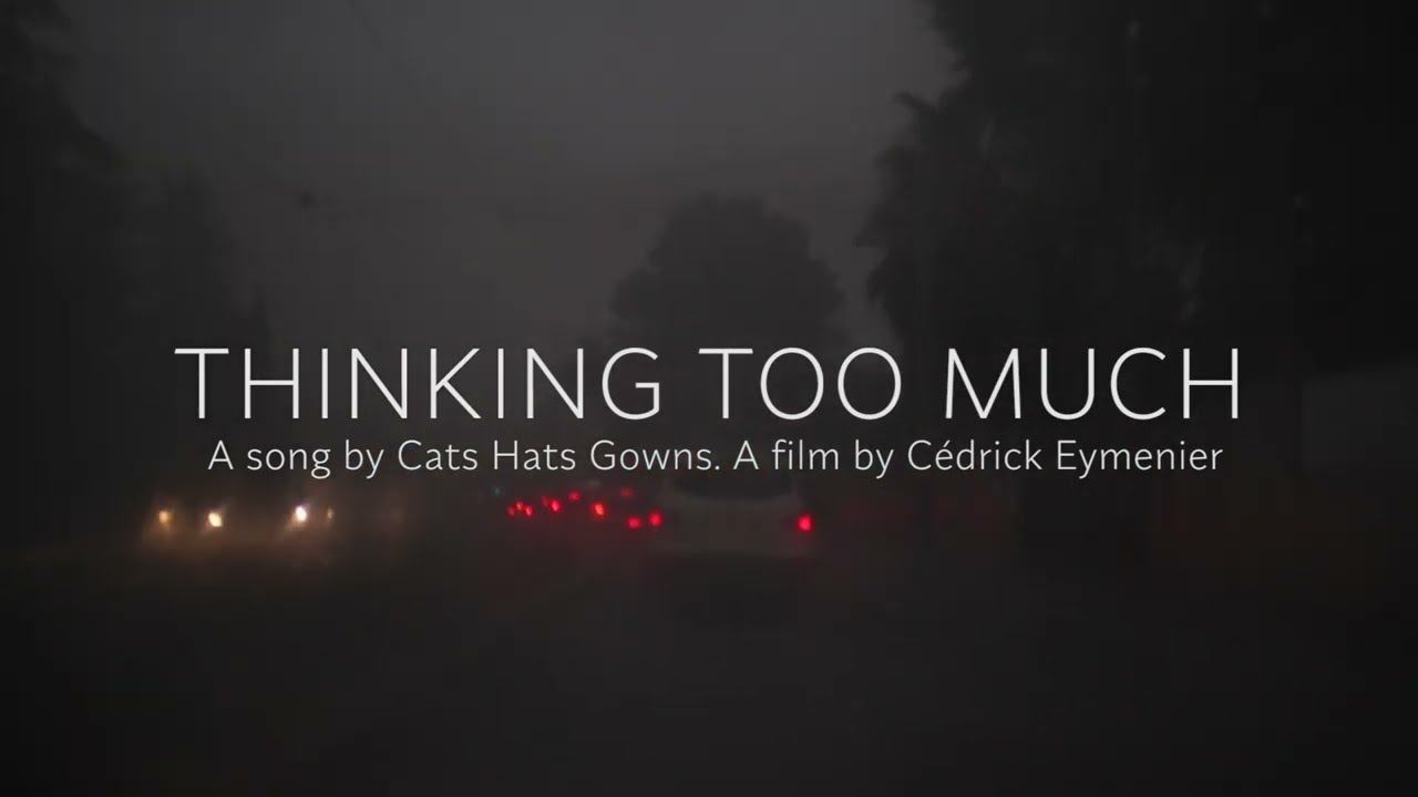 Cats Hats Gowns  "Thinking Too Much"