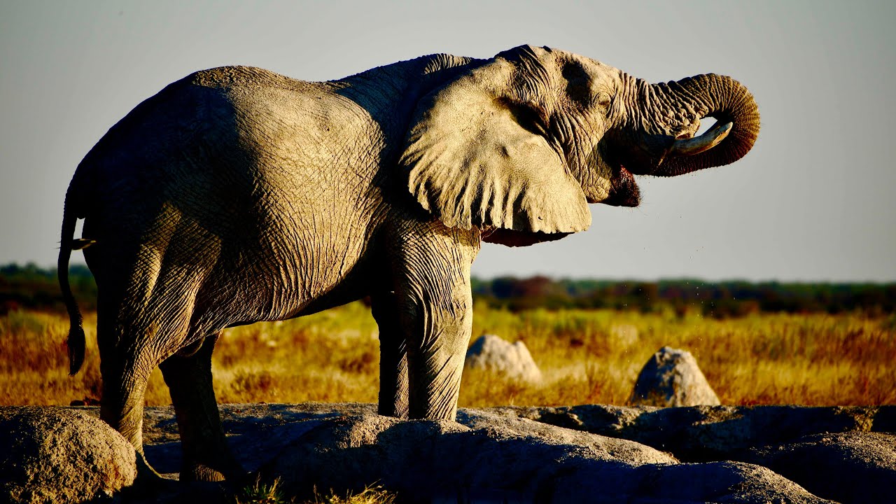 Botswana
