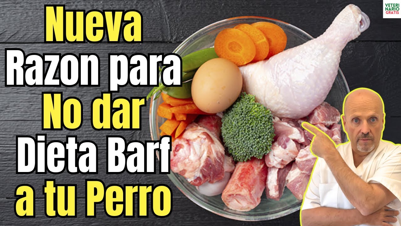 ⚠️ NUEVO MOTIVO PARA NO DAR DIETA BARF A TU PERRO O GATO 🐶🐱❌