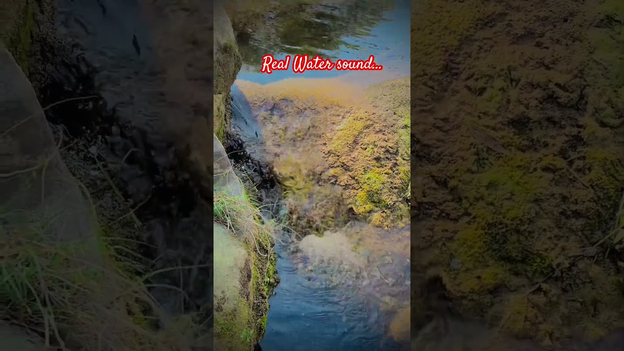 Enjoy real water sound #azadkashmir #unfrezzmyaccount #potohari #vlog #watersounds