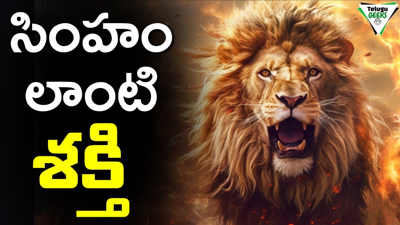 సింహం లాంటి శక్తి ని ఇచ్చే 4 మాటలు    | The ROARING LAMBS book summary | Telugu Geeks